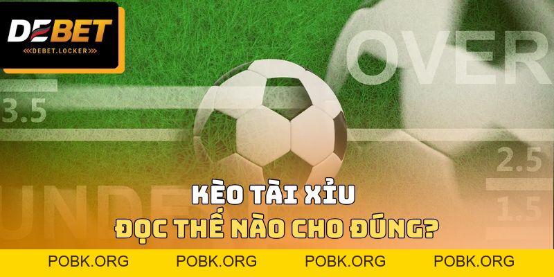 Kèo Tài Xỉu Đọc Thế Nào? Hướng Dẫn 5 Tỷ Lệ Ưa Chuộng Nhất